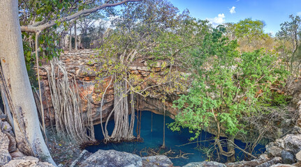 Aven (Vintany) Cave, Tsimanampetsotsa National Park, Madagascar  © Guy Bryant
