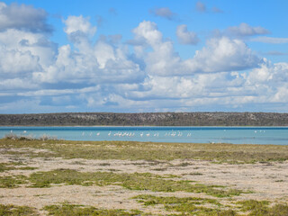 Flamingos in the Distance at Lake Tsimanampetsotsa in the Dry Season, Tsimanampetsotsa National Park, Madagascar © Guy Bryant