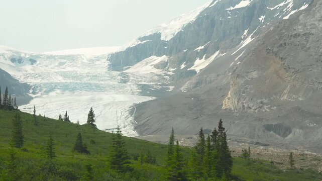 Summer view of Athabasca Glacier along Icefields Parkway in the Canadian Rockies