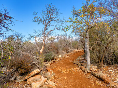 The Trail to Aven (Vintany) Cave, Tsimanampetsotsa National Park, Madagascar