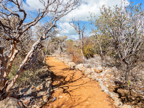 The Trail to Aven (Vintany) Cave, Tsimanampetsotsa National Park, Madagascar