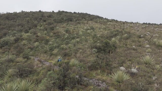 paramo cundinamarca colombia