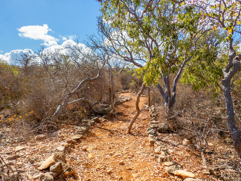 The Trail to Aven (Vintany) Cave, Tsimanampetsotsa National Park, Madagascar
