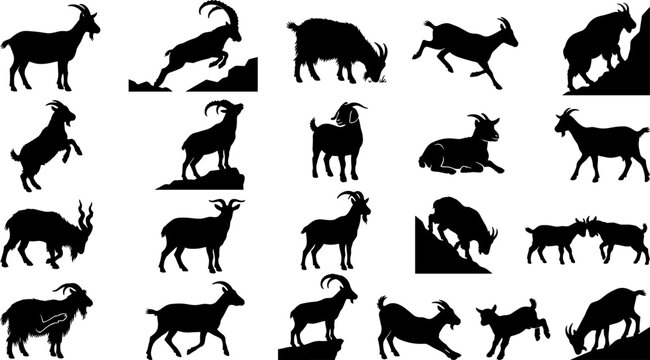 Goat and wild ibex silhouettes set featuring mountain goats rams and kids in different poses for vector design