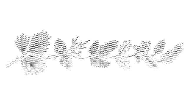 embroidery pine needle nature folk collection plant flora botanical flower leaf engraving ethnic cross stitch vector illustration graphic design