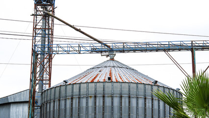 A large corrugated metal grain silo with a conveyor system and rusted roof segments at an agricultural facility. © Наталья Добровольска
