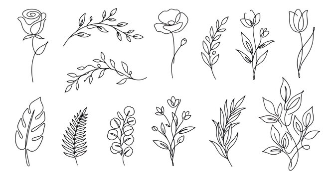 Minimalist botanical line art collection, 12 elegant floral vector icons, hand drawn continuous line flowers and leaves for wedding stationery
