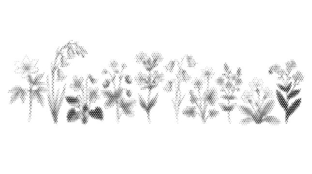 forest flower folk engraving nature collection plant flora botanical leaf blossom ethnic cross stitch embroidery vector illustration graphic design