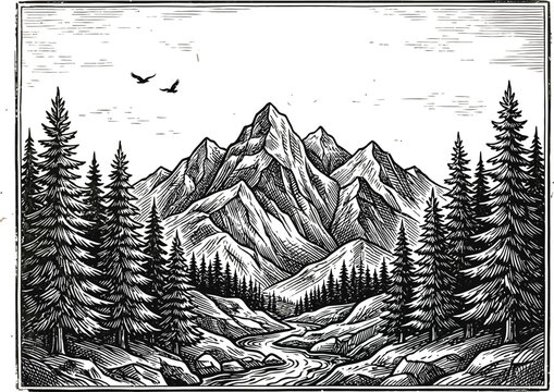 Vintage engraved mountain landscape with pine trees and flying birds