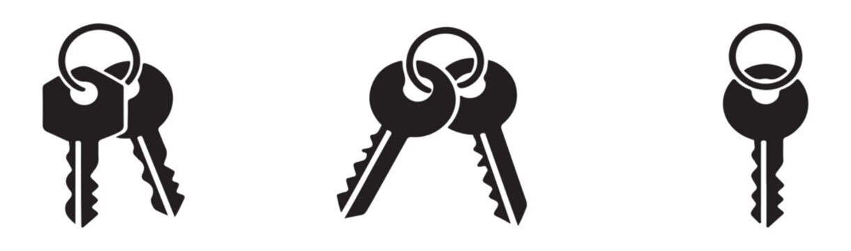 Key ring with two keys vector icon in three different styles on transparent background.