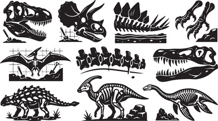 Collection of black and white dinosaur skeleton featuring skulls of t-rex and triceratops, stegosaurus plates, pterodactyl fossils, vertebrae, and full-body skeletons of various prehistoric reptiles © MdAbu