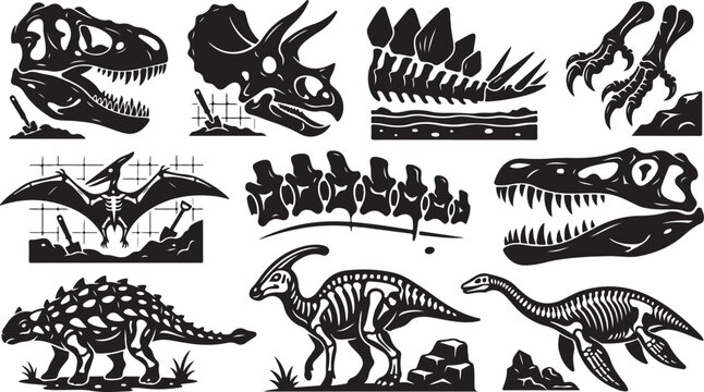 Collection of black and white dinosaur skeleton featuring skulls of t-rex and triceratops, stegosaurus plates, pterodactyl fossils, vertebrae, and full-body skeletons of various prehistoric reptiles