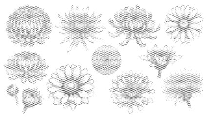 Obraz premium chrysanthemum nature plant flora cross stitch set botanical flower leaf blossom bloom embroidery folk engraving ethnic vector illustration graphic design