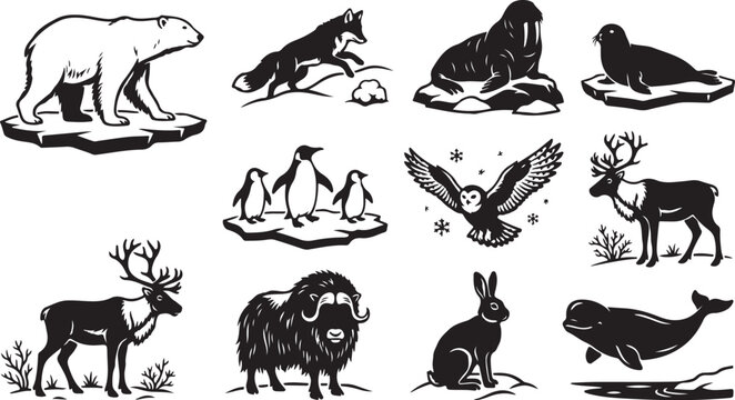 Set of arctic and antarctic animal silhouettes including a polar bear, fox, walrus, seal, penguins, owl, reindeer, muskox, hare, and beluga whale in a flat black and white style