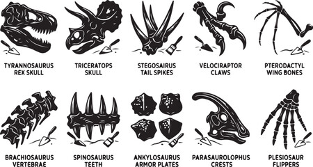 Set of ten black and white dinosaur fossil featuring skulls, claws, tail spikes, vertebrae, teeth, armor plates, and flipper bones, each accompanied by a small paleontologist excavation tool © MdAbu