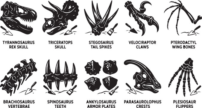 Set of ten black and white dinosaur fossil featuring skulls, claws, tail spikes, vertebrae, teeth, armor plates, and flipper bones, each accompanied by a small paleontologist excavation tool