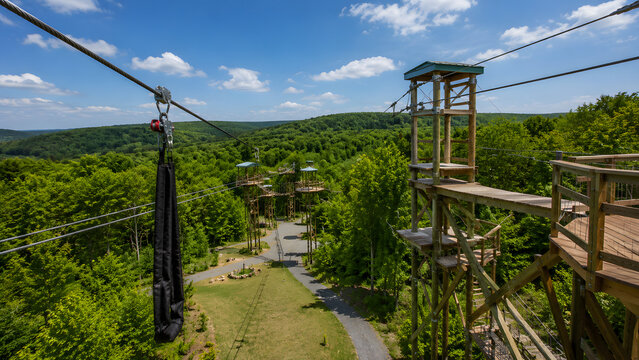 Adventure Zipline Course Through Forest