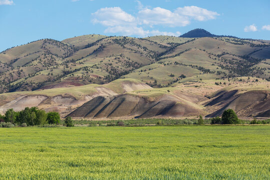 Green hills