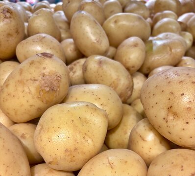Fresh White Potatoes at a Local Farmers Market