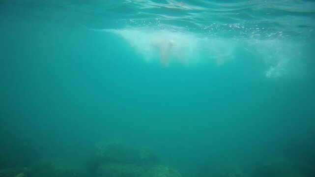 Person snorkeling in clear blue ocean water, observing the rocky seabed and marine environment during a summer vacation