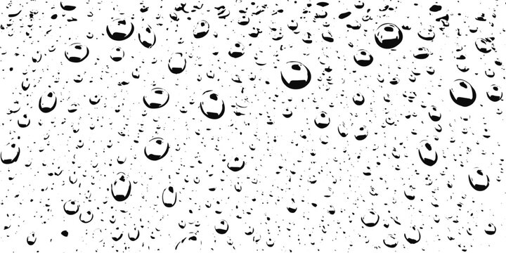 Rain Drops on Transparent Grunge Background with Water Droplets and Distressed Overlay Vector.
