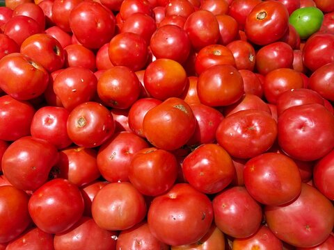 Fresh Red Tomatoes at a Local Farmers Market