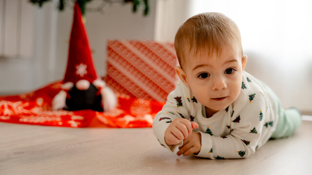 Baby exploring near Christmas tree at home