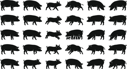 Pig and Wild Boar Silhouette Vector Collection Featuring Farm Animals Piglets and Wildlife Icon Set © MDKANAL