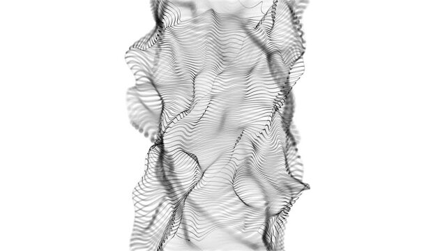 Lines wave abstract technology background loop. Animated mesh digital elegant flow on white background. Motion of digital data flow. Seamless loop