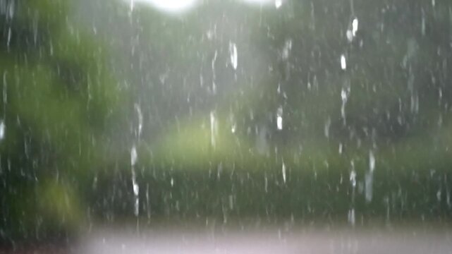 Heavy rain falling against a blurred green garden background