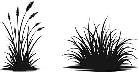 白背景に孤立した野草と小麦の茎の白黒シルエット © Shoriful