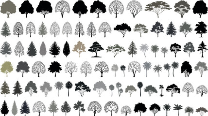 Minimalist tree silhouette collection, set of 72 black and grey forest plant icons, flat vector nature symbols for architectural site plans and landscape design © StyleGraphicArt