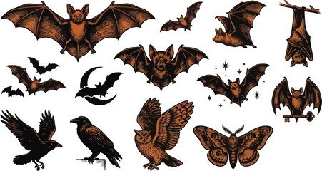 Obraz premium Gothic bat and nocturnal animal vector collection in vintage woodcut illustration style
