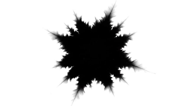 Abstract black fractal shape on a clean white background