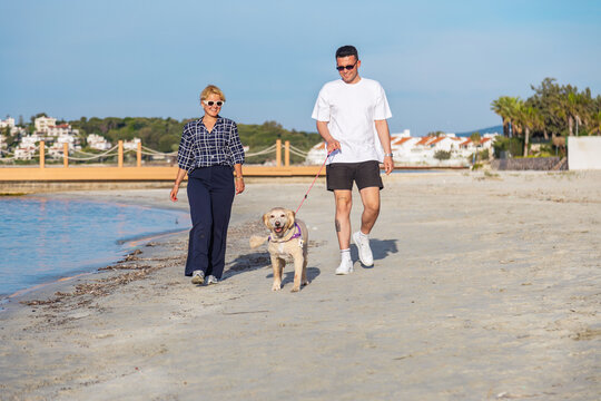 Couple walking a dog on the beach by the sea