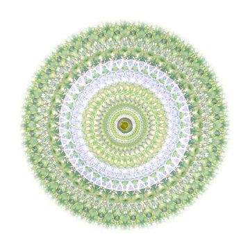 Savoy cabbage mandala with intricate circular pattern