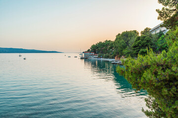 Fototapeta premium Calm Adriatic sea coastline on Brac island with mediterranean pine trees and tranquil waterfront at sunset, Dalmatia, Croatia. Coastal landscape, European travel destination, island tourism