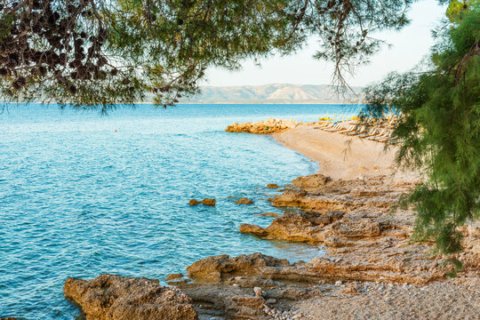 Pebble rocky beach on Brac island with crystal clear Adriatic sea, mediterranean pine trees and tranquil coastline at sunrise, Dalmatia, Croatia. Coastal landscape, European travel destination