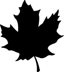 Fototapeta premium Maple leaf silhouette icon, Black botanical autumn foliage sign, Vector nature symbol isolated on transparent background, vector illustration element design.