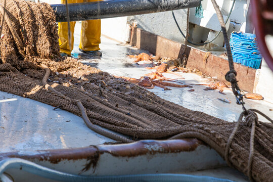 Fishing boat deck with net, rope and fresh catch on board