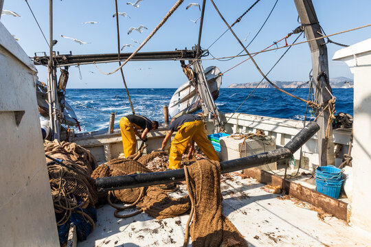 Fishermen sorting fresh catch on trawler deck at sea