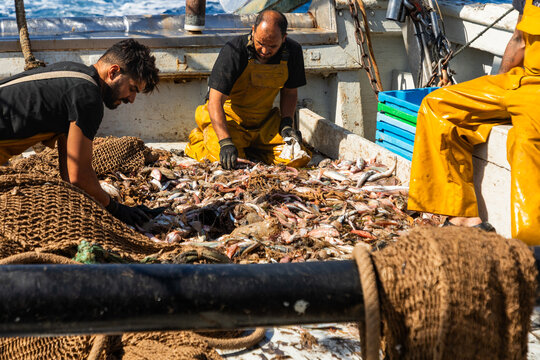 Fishermen sorting fresh catch on deck of working trawler