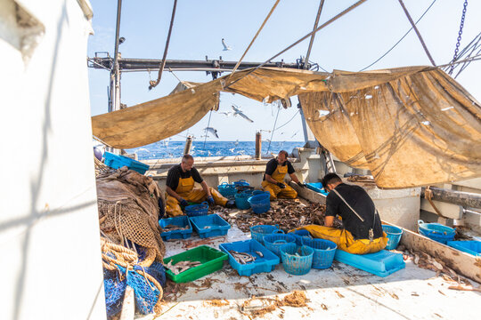 Fishermen sorting fresh catch on a trawler at sea deck