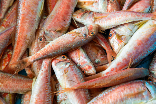 Close-up of fresh raw fish catch at seafood market