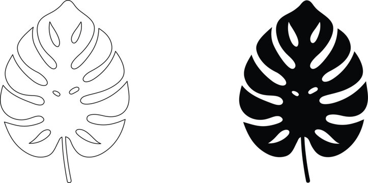 Outline and silhouette of a monstera leaf with characteristic holes, ideal for tropical decor and modern graphic design projects on transparent.
