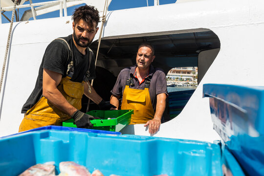 Fishermen unloading catch from boat at sunny harbor dock