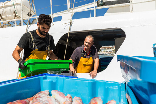 Fishermen unloading catch from boat at sunny harbor dock