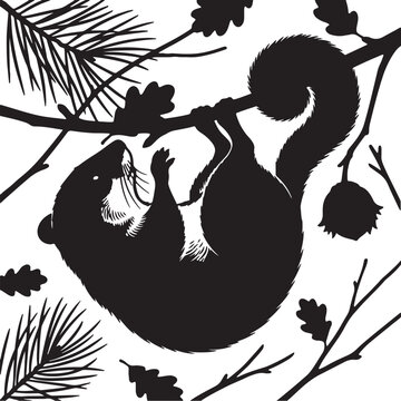 Dormouse Hanging From Forest Branch
