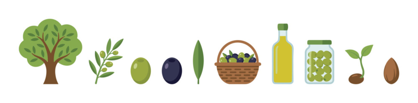 Olive farming and olive harvest icon collection featuring olive tree branch green olive black olive leaf harvest basket olive oil jar seedling and seed