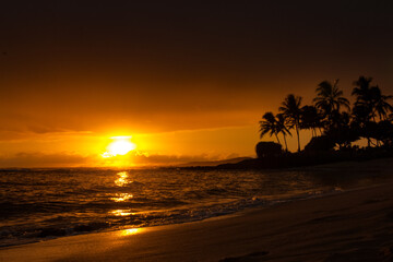 Panoramic tropical beach at sunset in Hawaii⁠ © Steven